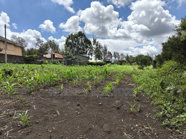 Residential Quarter Acre Corner Plot for Sale in Ngong, Olkeri - thumbnail 5