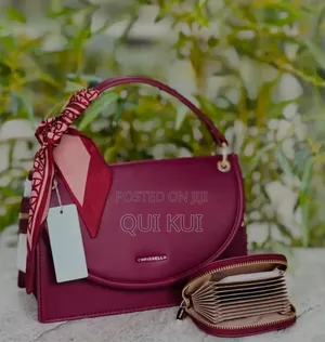 Ladies Handbags