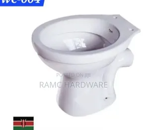 Ordinary Toilet