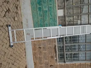 12 Step Aluminum Extension Ladder