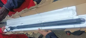 Shock Harrier New
