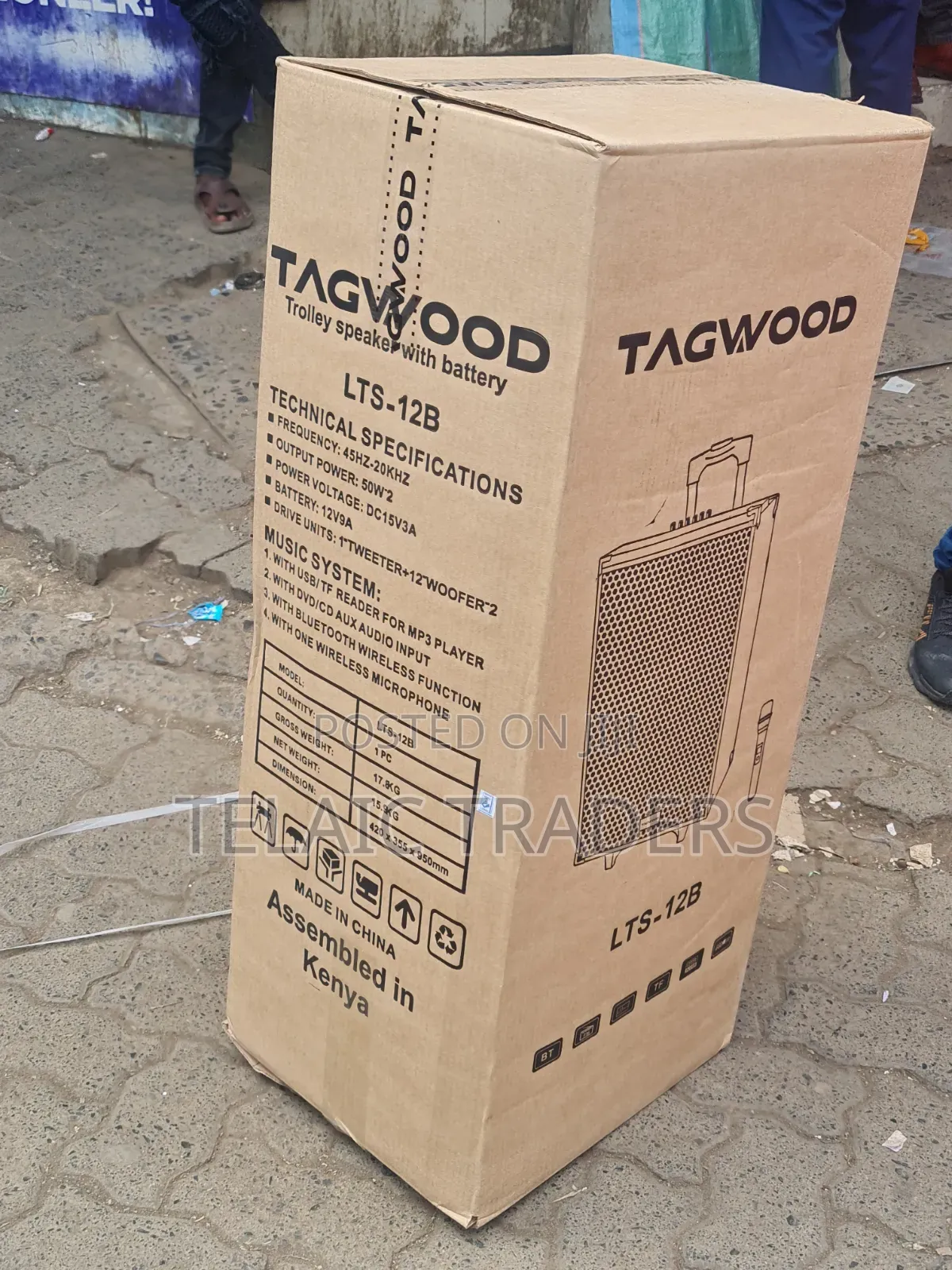 Tagwood 12a With 2 Microphones