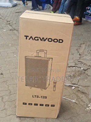 Tagwood 12a With 2 Microphones