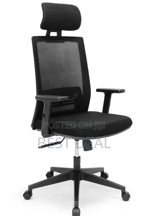 Ergonomic Chair