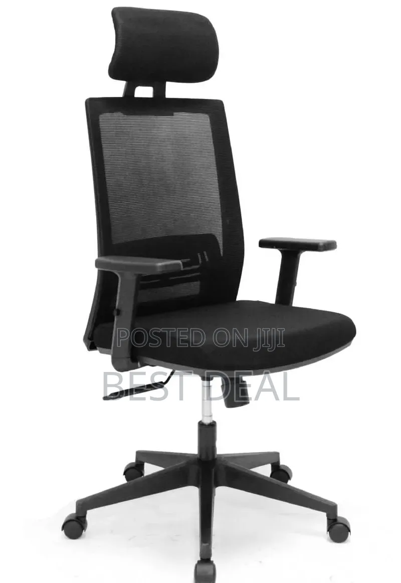 Ergonomic Chair