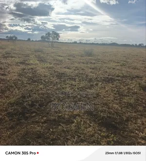 10 Acres Land With Water Supply and Few Meters From Main Road