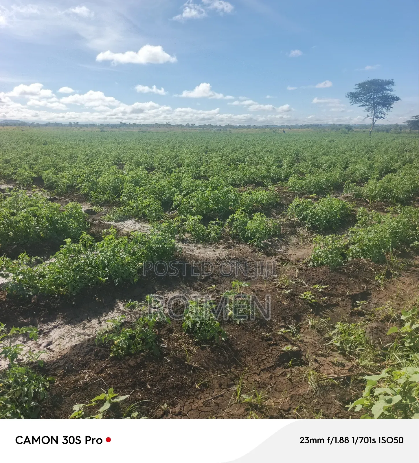 2 Acres Land for Sale