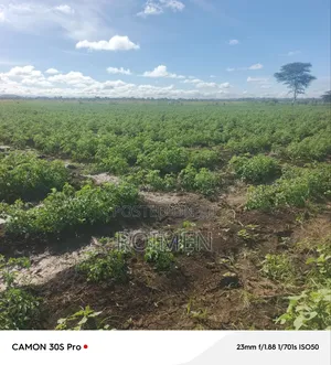 2 Acres Land for Sale