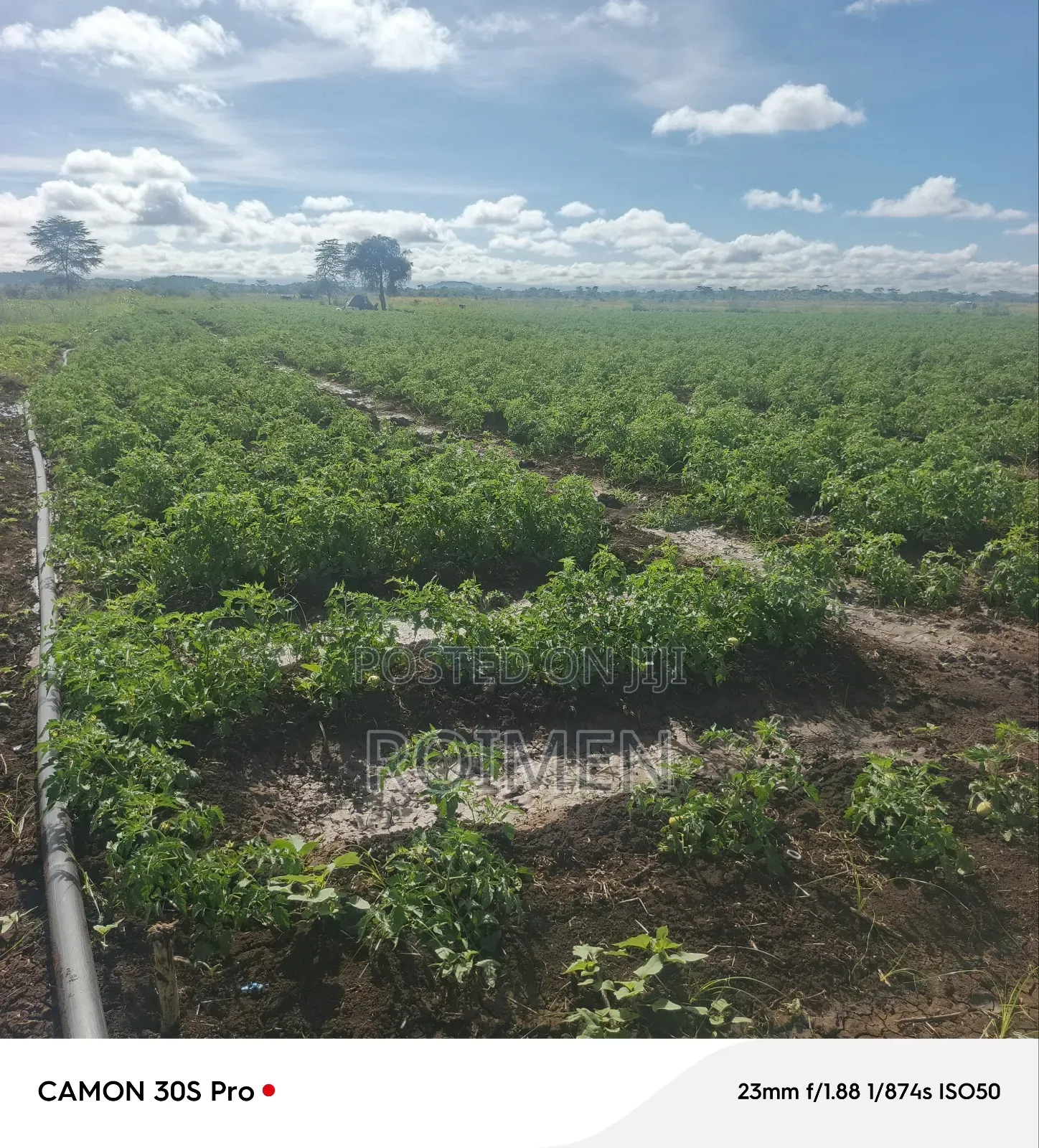 2 Acres Land for Sale