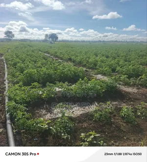 2 Acres Land for Sale