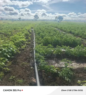 2 Acres Land for Sale