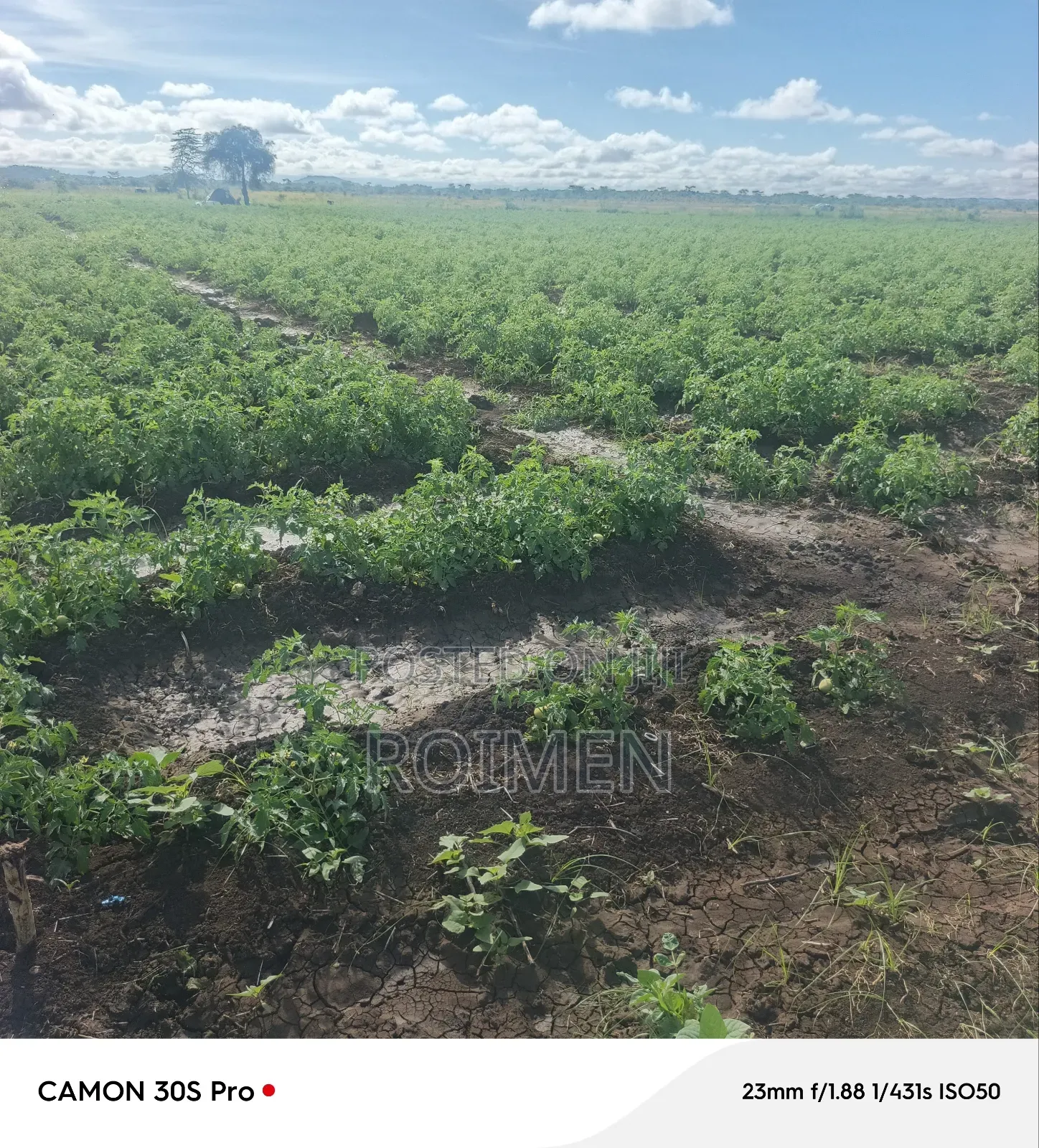 2 Acres Land for Sale