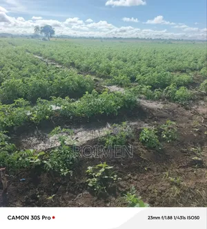 2 Acres Land for Sale