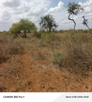 38 Acres Land for Sale