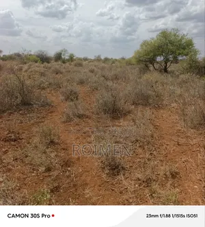 38 Acres Land for Sale