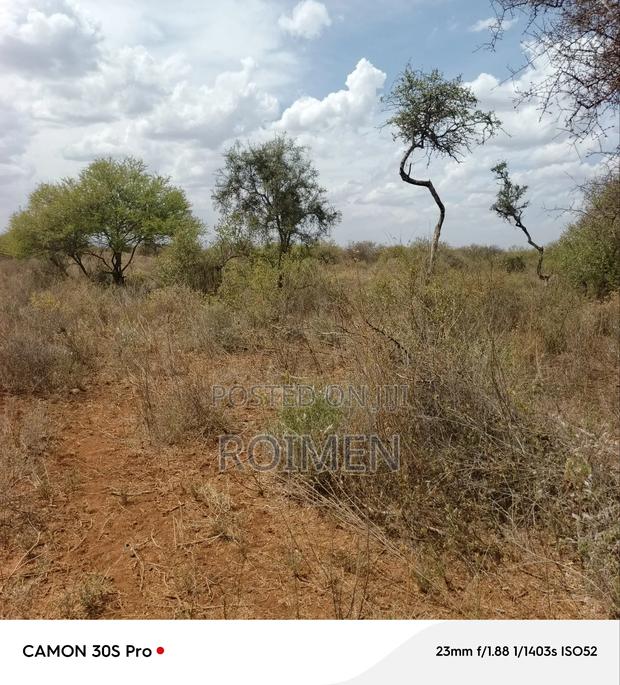 38 Acres Land for Sale - thumbnail 7