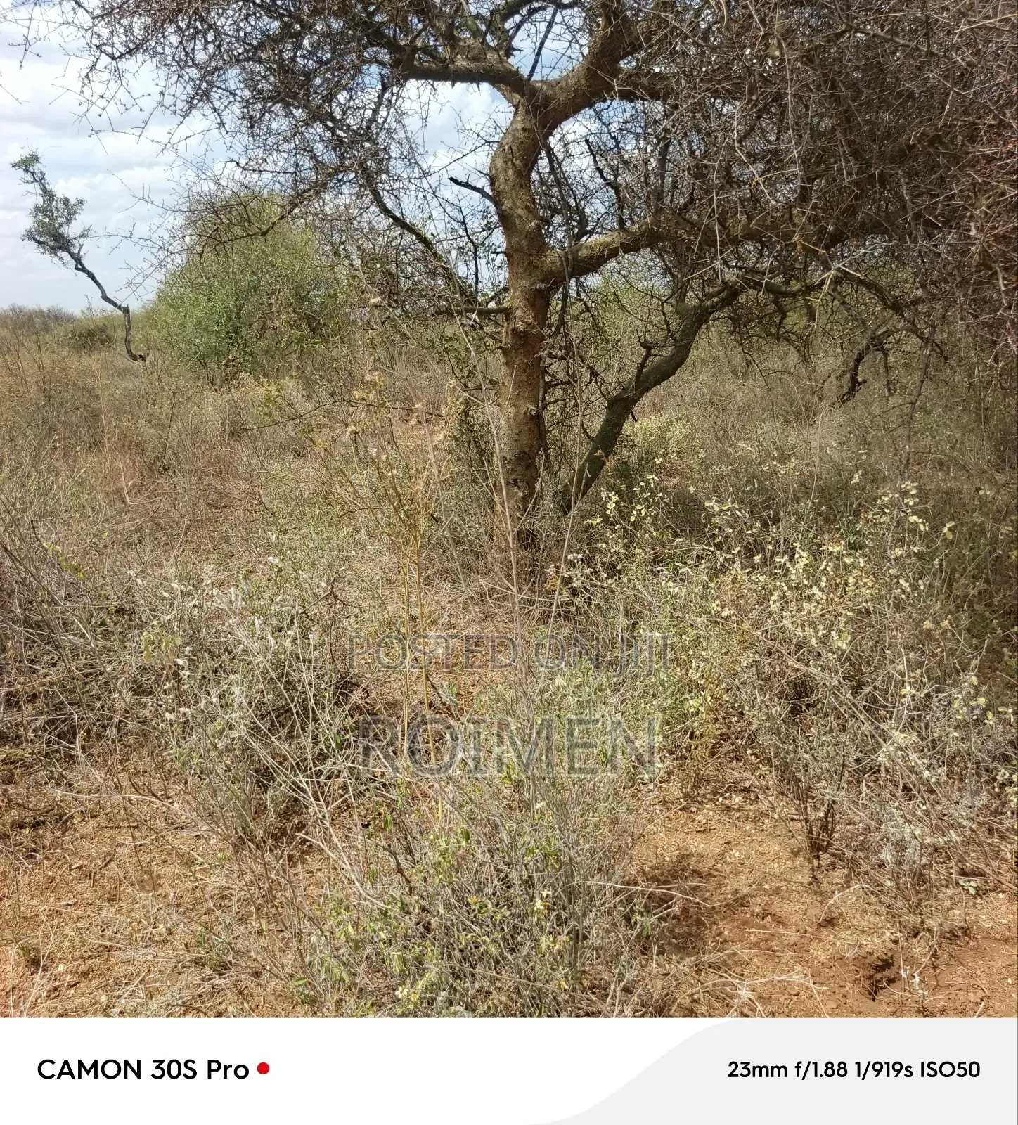 38 Acres Land for Sale