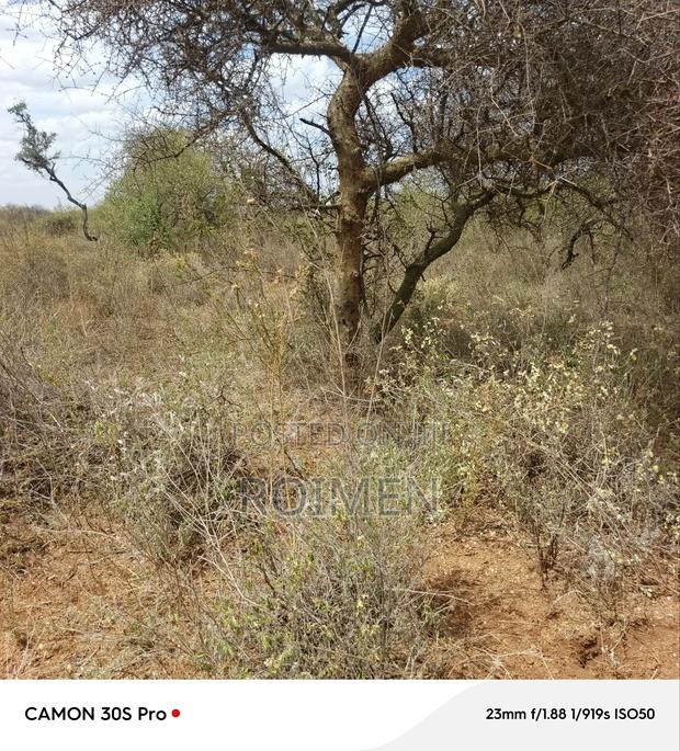 38 Acres Land for Sale - thumbnail 8
