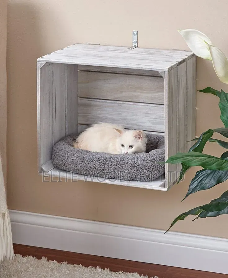 Kitty Haven