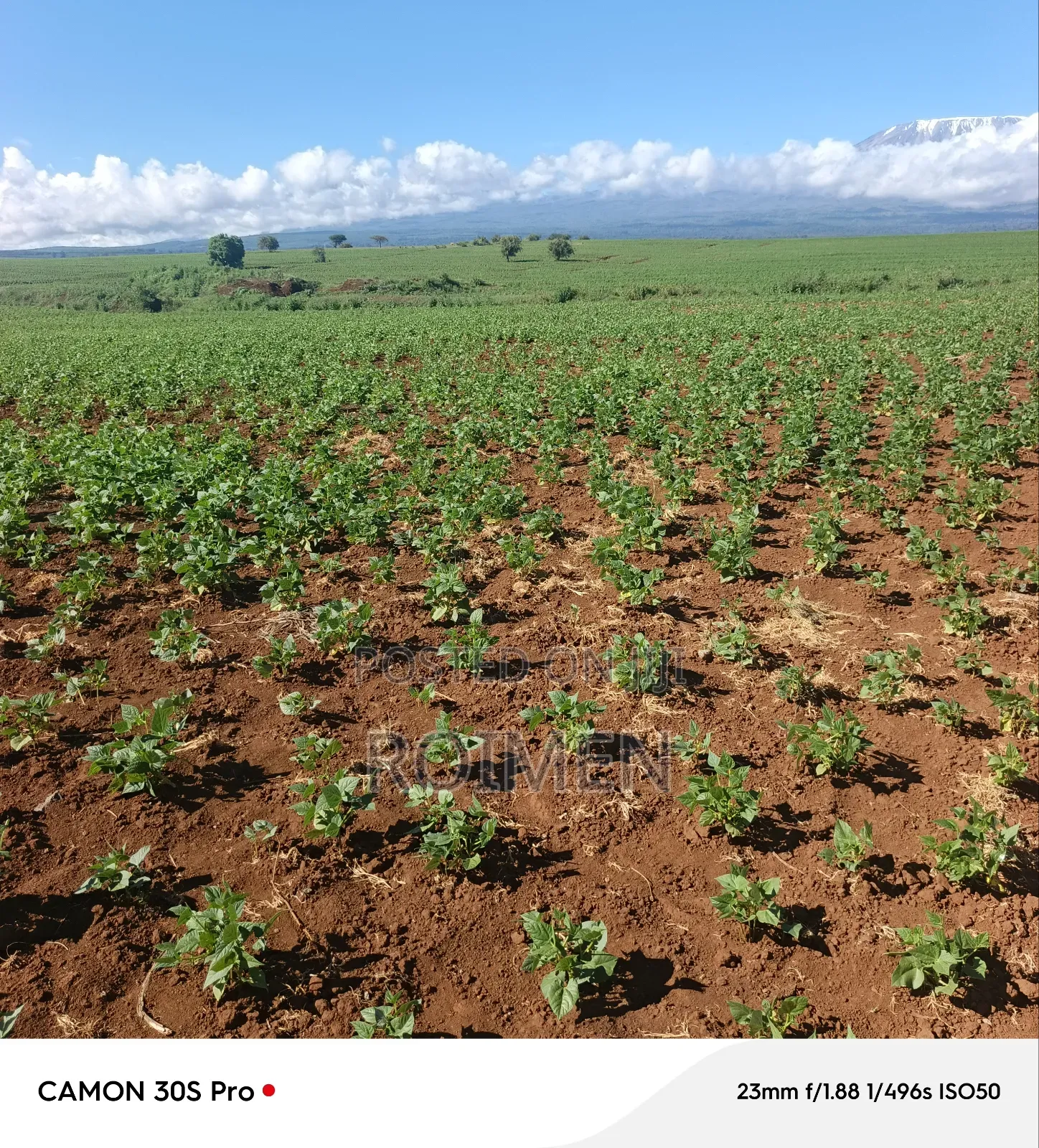 5 Acres Land for Sale