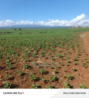 5 Acres Land for Sale