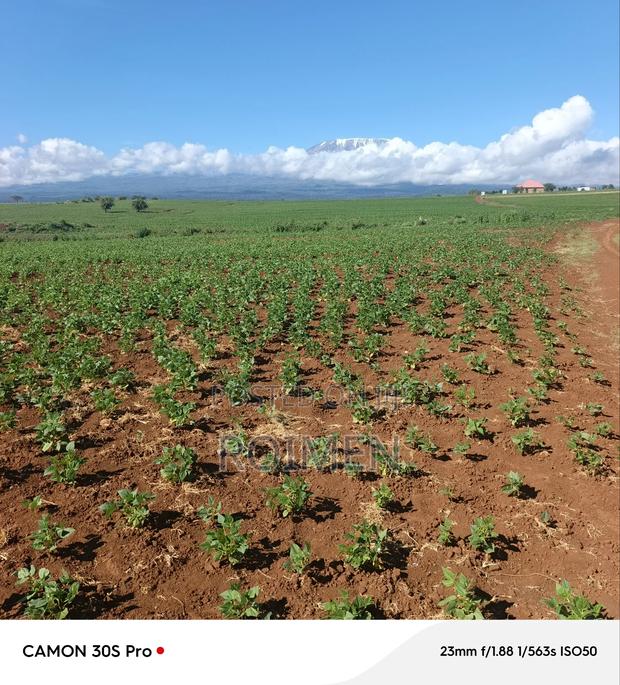5 Acres Land for Sale - thumbnail 3