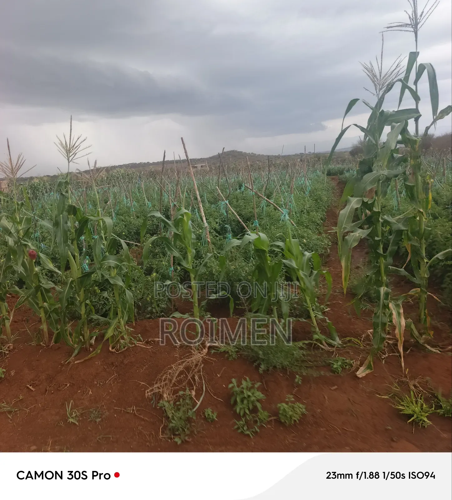 5 Acres Land for Sale