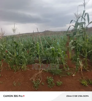 5 Acres Land for Sale
