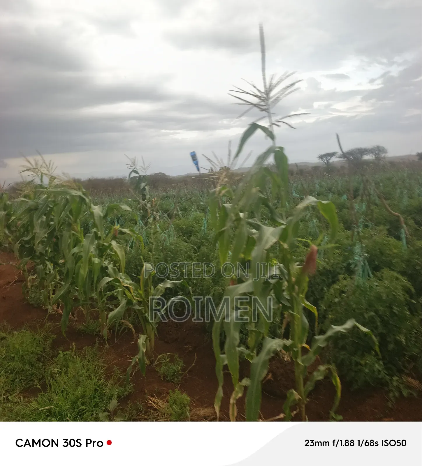 5 Acres Land for Sale