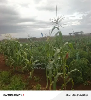 5 Acres Land for Sale