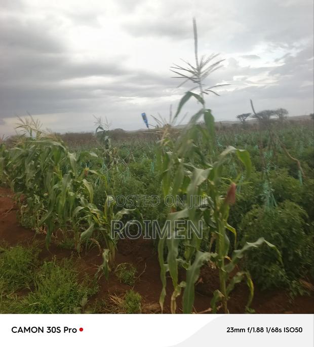 5 Acres Land for Sale - thumbnail 5
