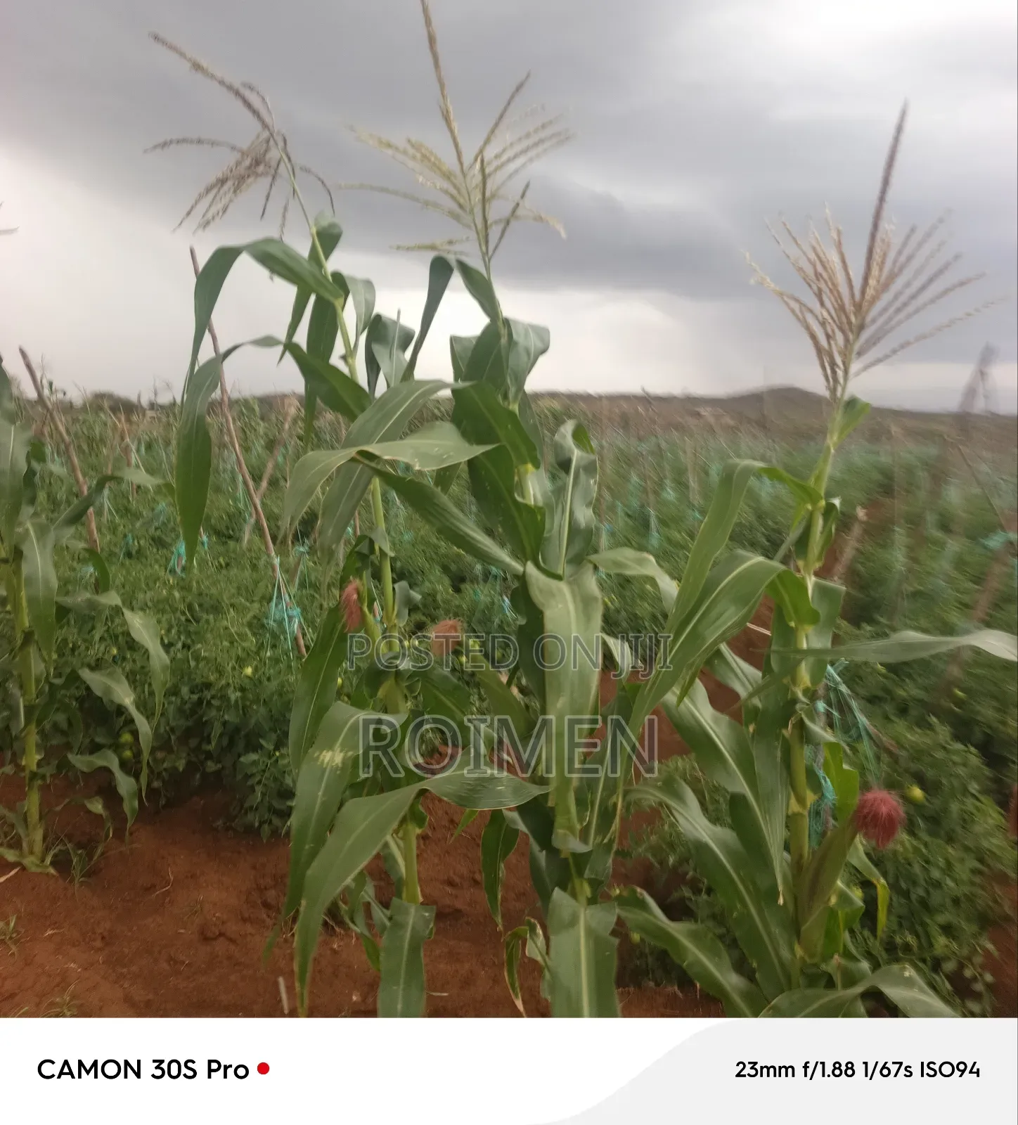 5 Acres Land for Sale