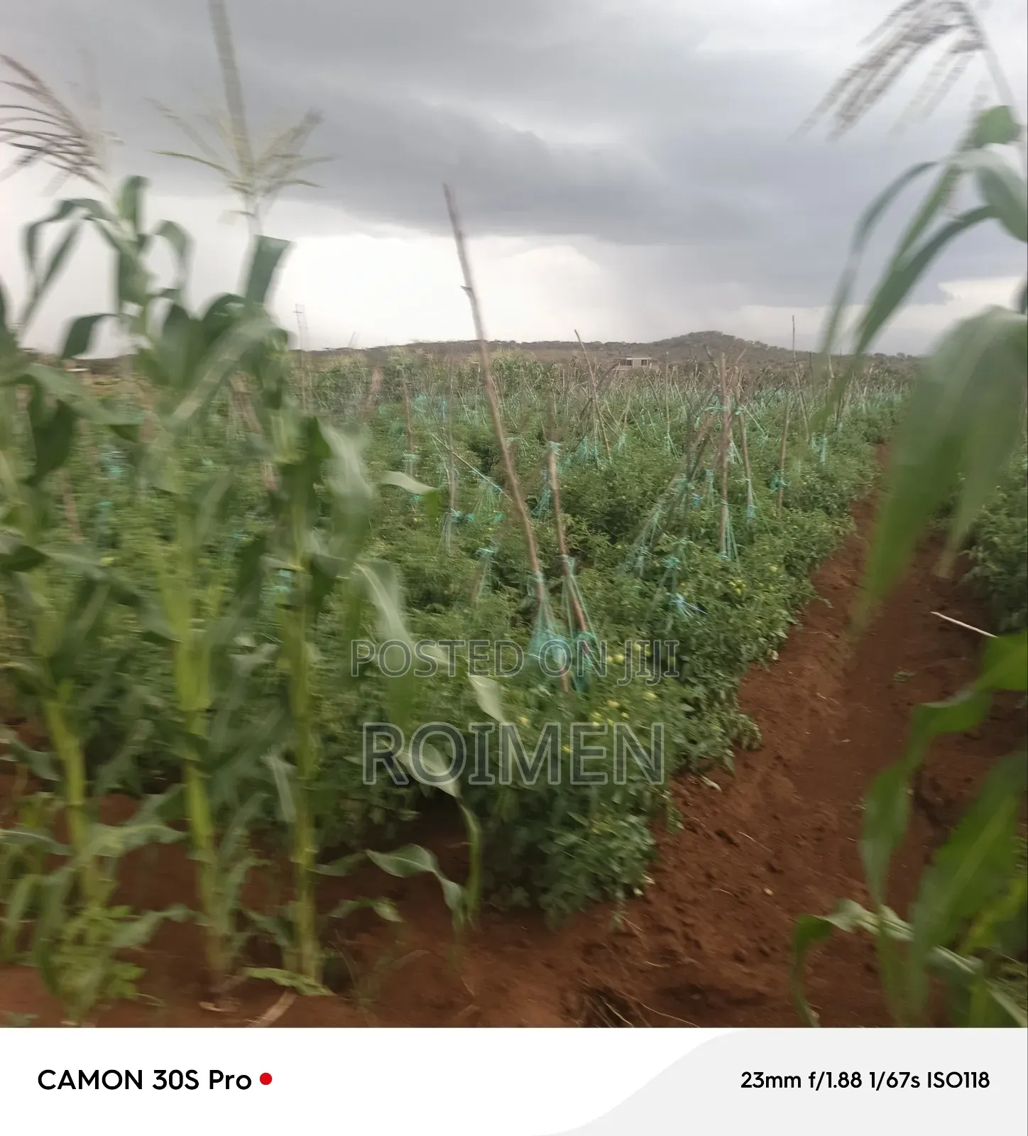 5 Acres Land for Sale