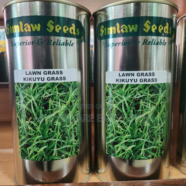 Kikuyu Lawn Grass Simlaw 500 G