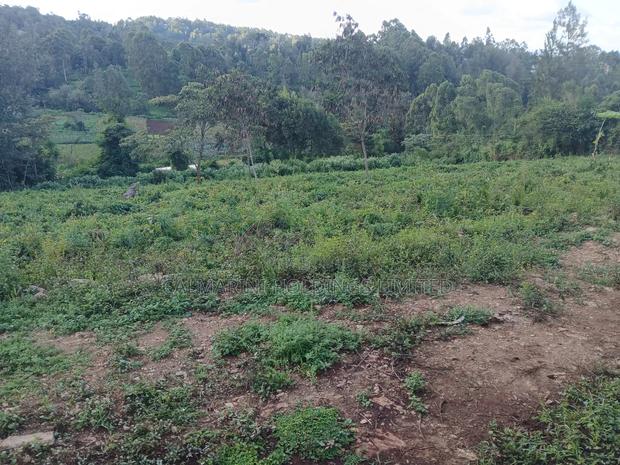 Distress! Very Prime 100 by 100 Plot in a Gated Estate, Matasia,Ngong - thumbnail 3
