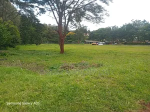 Prime 21/4 Acres Kitsuru