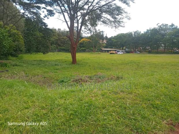 Prime 21/4 Acres Kitsuru