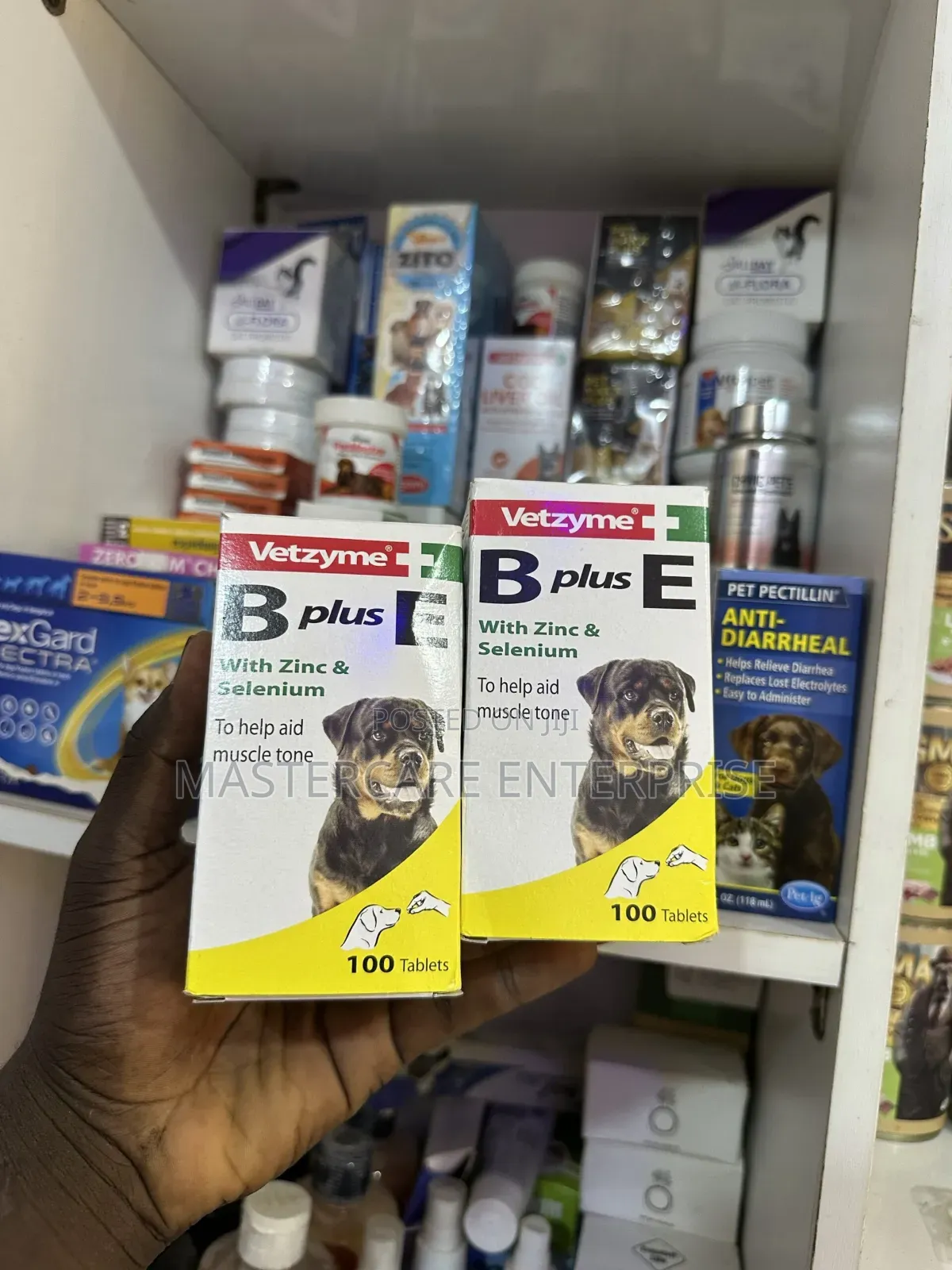 Vetzyme B Plus E Dog Tablet
