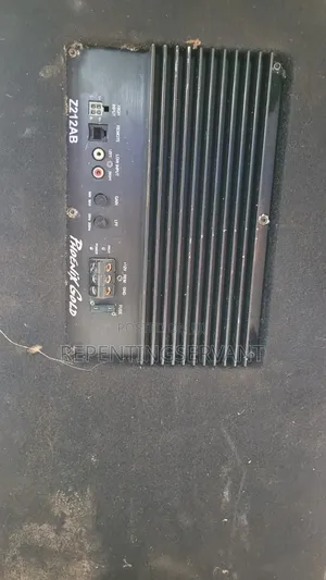 Double Speaker With Built-in Amplifier