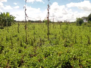 10 Acres Land for Sale