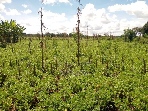 10 Acres Land for Sale