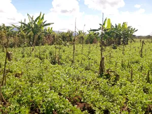 10 Acres Land for Sale