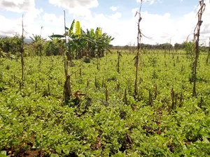 10 Acres Land for Sale