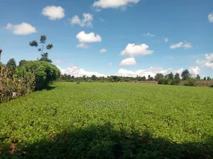 10 Acres Land for Sale