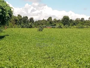 10 Acres Land for Sale
