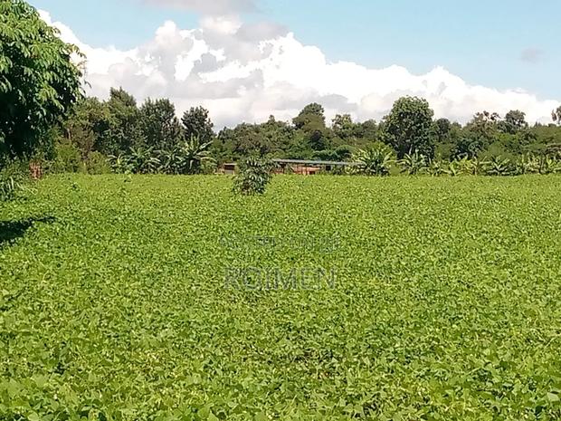 10 Acres Land for Sale - thumbnail 5
