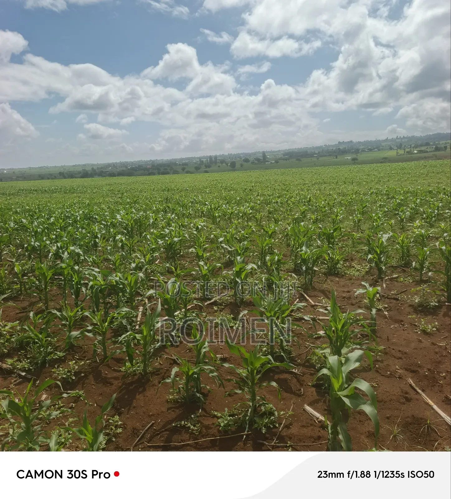 5 Acres Land for Sale