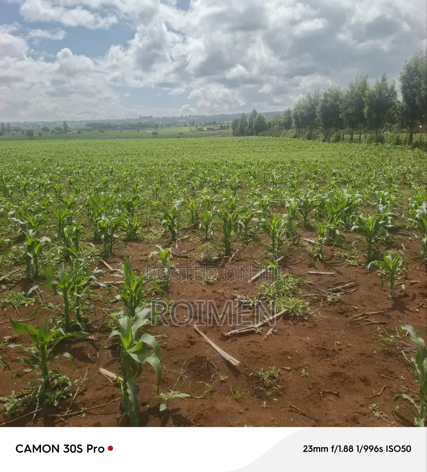 5 Acres Land for Sale
