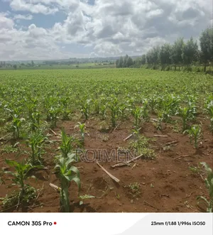 5 Acres Land for Sale