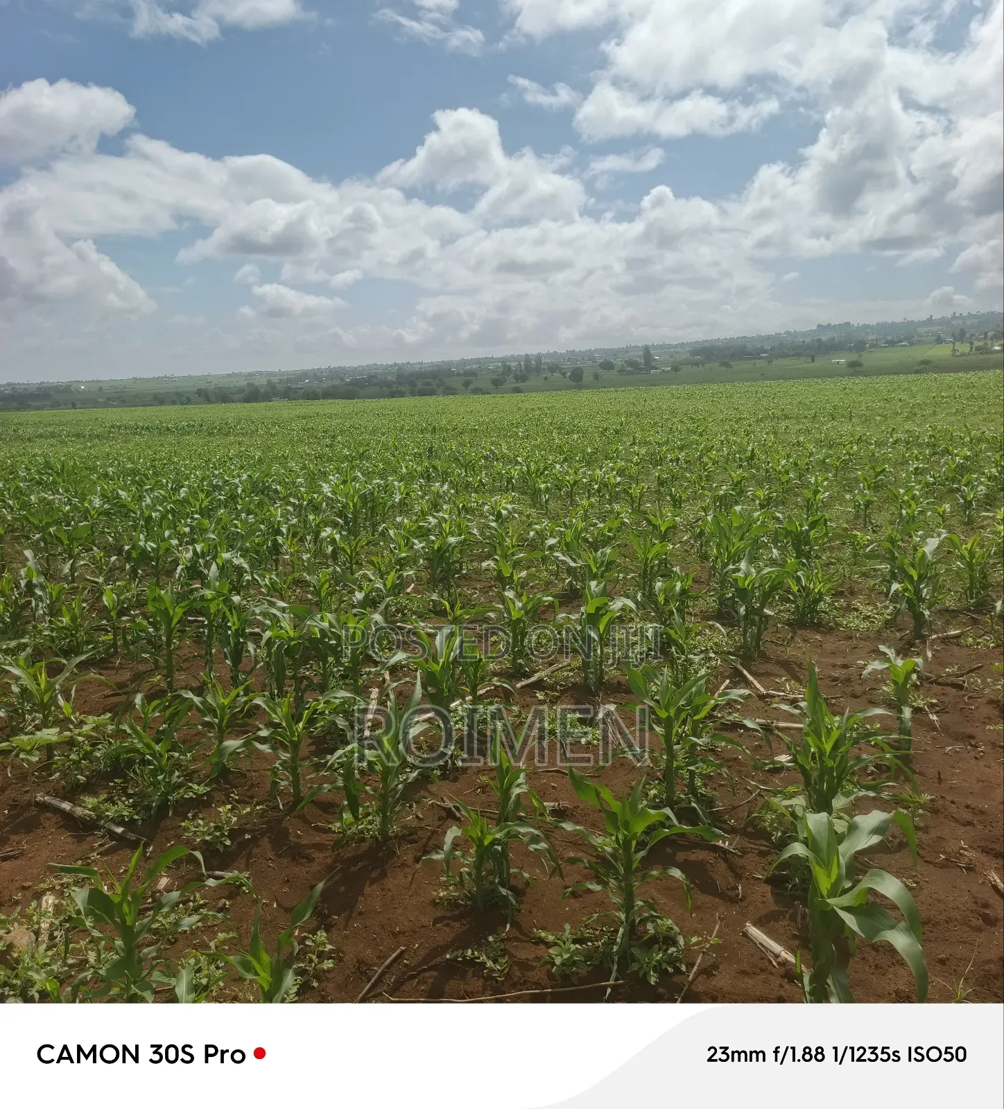 5 Acres Land for Sale
